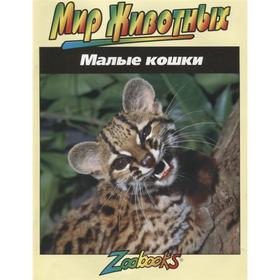 

Малые кошки