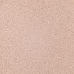 

Пудра компактная с зеркалом Ines Cosmetics тон 8, слоновая кость