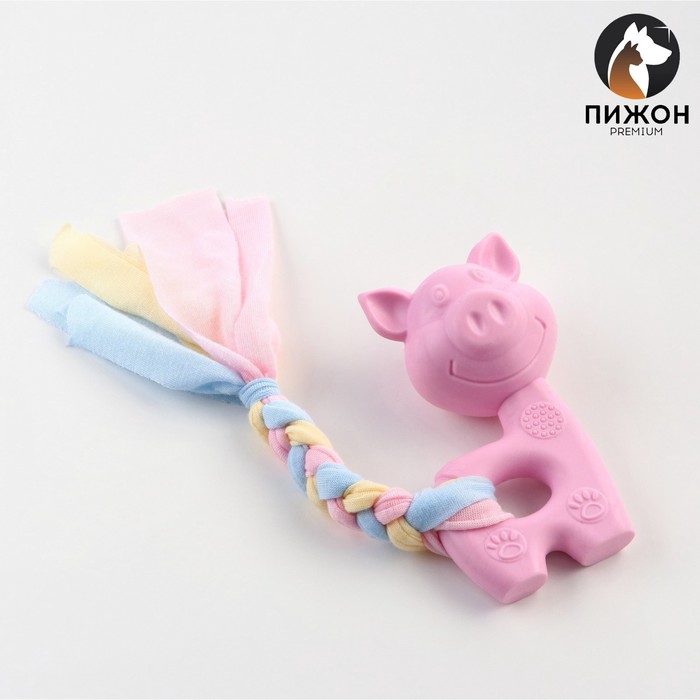 Игрушка жевательная Пижон Premium Свинка, 10 х 6 х 3,5 см, розовая игрушка жевательная пижон premium свинка 10 х 6 х 3 5 см розовый