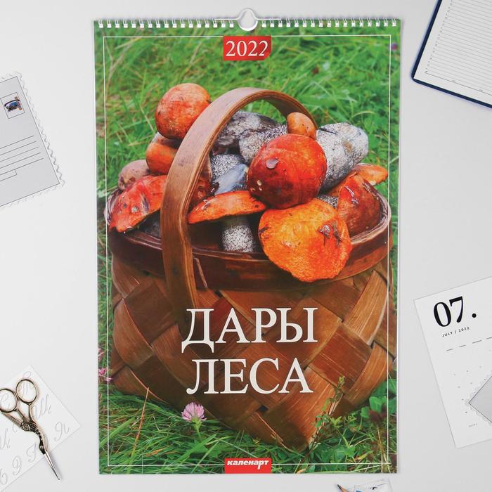 

Календарь перекидной на ригеле "Дары леса" 2022 год, 320х480 мм