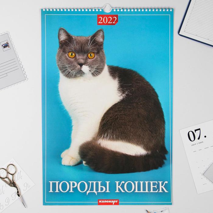 

Календарь перекидной на ригеле "Породы кошек" 2022 год, 320х480 мм