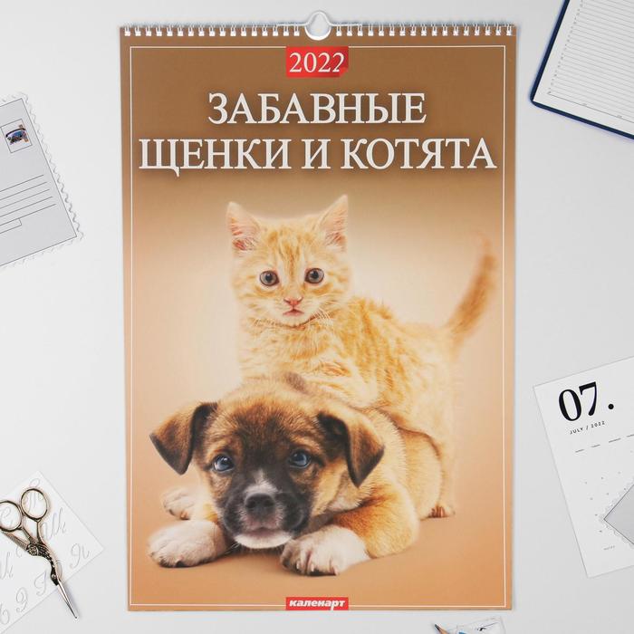 

Календарь перекидной на ригеле "Забавные Щенки и Котята" 2022 год, 320х480 мм