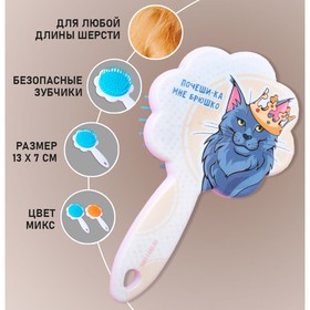 Расчёска для животных «Мейн-кун», цвета МИКС Ош