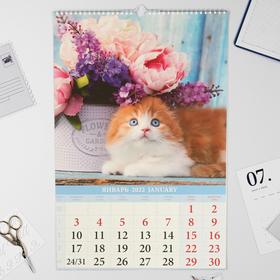 

Календарь перекидной на ригеле "Котята" 2022 год, 320х480 мм