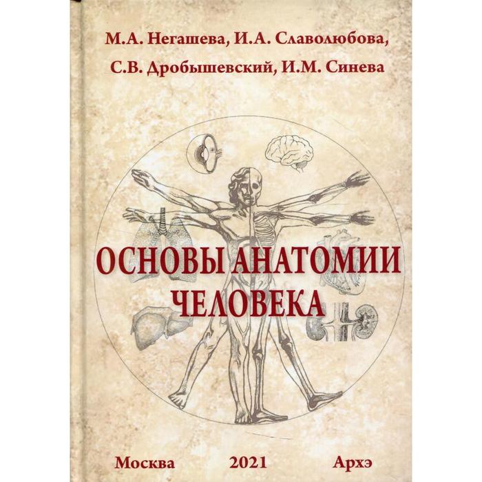 

Основы анатомии человека. Негашева М.А., Славолюбова И.А., Дробышевский С.В., Синева И.М.