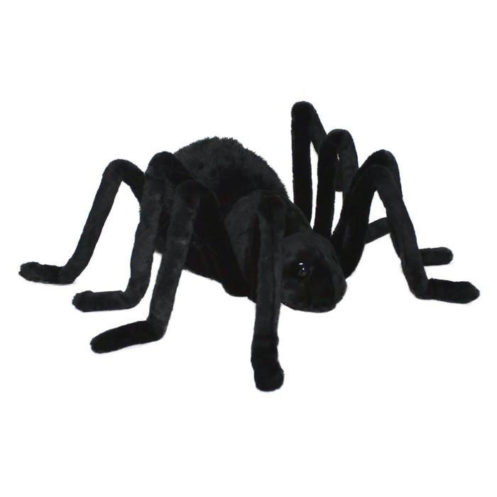 Гигантский черный паук, 75 см
