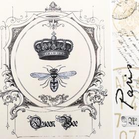 

Декупажная карта "Муха" плотность 45 г/м2, формат А4