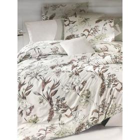 

КПБ Ecosse Ranforce, 1,5 сп, размер 180х260 см, 160х220 см, 50х70 см - 2 шт