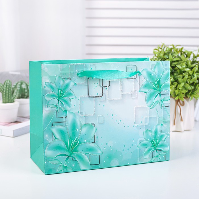 Пакет подарочный люкс, 18 х 24 х 8 см МИКС