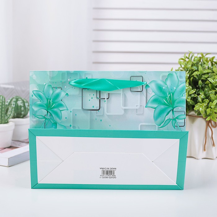 Пакет подарочный люкс, 18 х 24 х 8 см МИКС