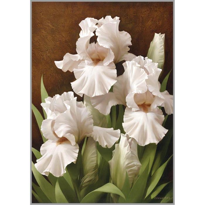 

Алмазная мозаика «Iris ILLumination II» 29.5x20.5 см, 24 цветов