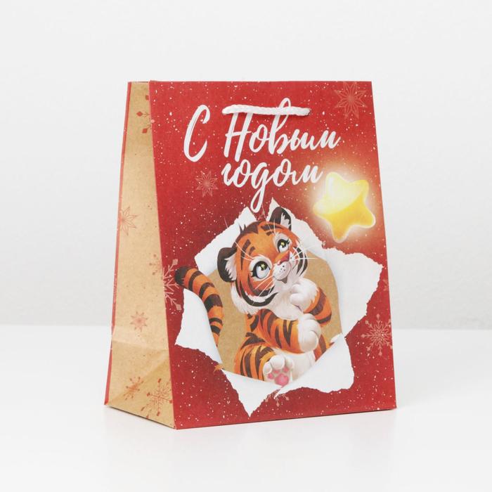 

Пакет крафтовый вертикальный «Лови звезду», MS 18 × 23 × 10 см