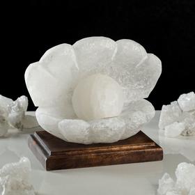 

Соляная лампа "Жемчужница" 14 см × 19 см × 17 см 1743749