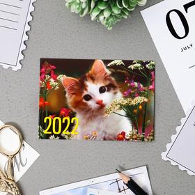 Карманный календарь "Коты - 4" 2022 год, 7 х 10 см, МИКС от Сима-ленд