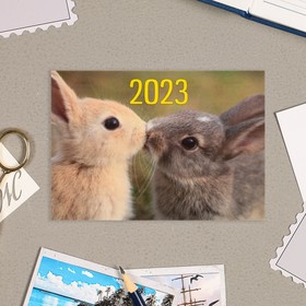Карманный календарь "Символ года - 4" 2022 год, 7 х 10 см, МИКС от Сима-ленд