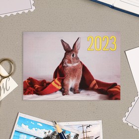 Карманный календарь "Символ года - 4" 2022 год, 7 х 10 см, МИКС от Сима-ленд