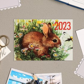 Карманный календарь "Символ года - 5" 2022 год, 7 х 10 см, МИКС от Сима-ленд