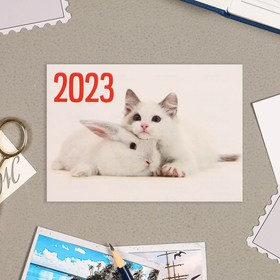 Карманный календарь "Символ года - 5" 2022 год, 7 х 10 см, МИКС от Сима-ленд