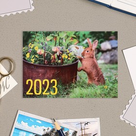 Карманный календарь "Символ года - 6" 2022 год, 7 х 10 см, МИКС от Сима-ленд