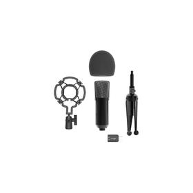 Микрофон RITMIX RDM-160, 20-20000 Гц, Jack 3.5, USB, 1.5 м, черный Ош
