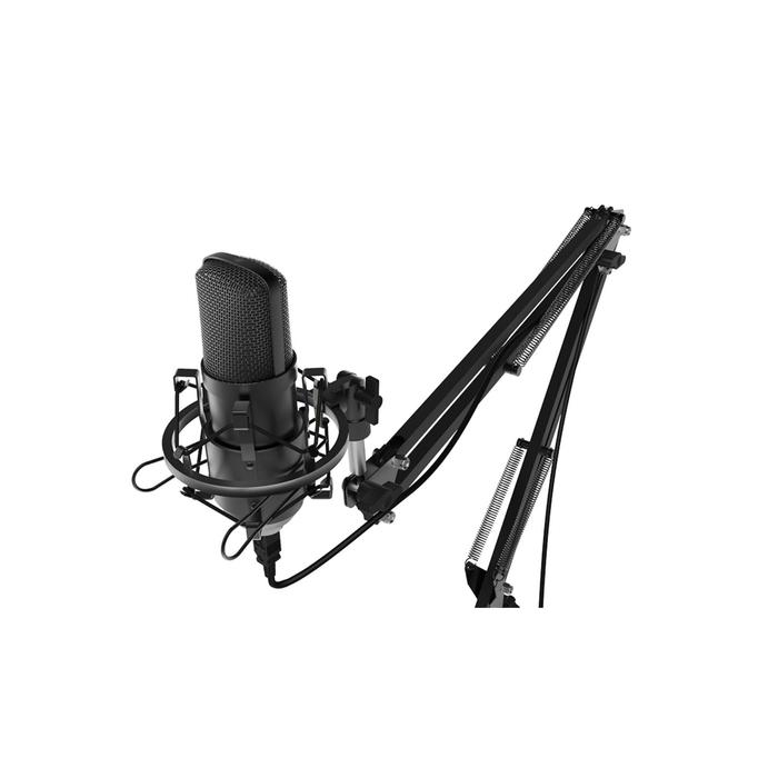 Микрофон RITMIX RDM-169, 30-20000 Гц, USB, 1.5 м, черный микрофон проводной ritmix rdm 169 разъем usb черный 1 шт