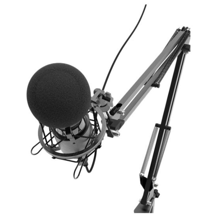 Микрофон RITMIX RDM-180, 30-16000 Гц, USB, 2.5 м, черный