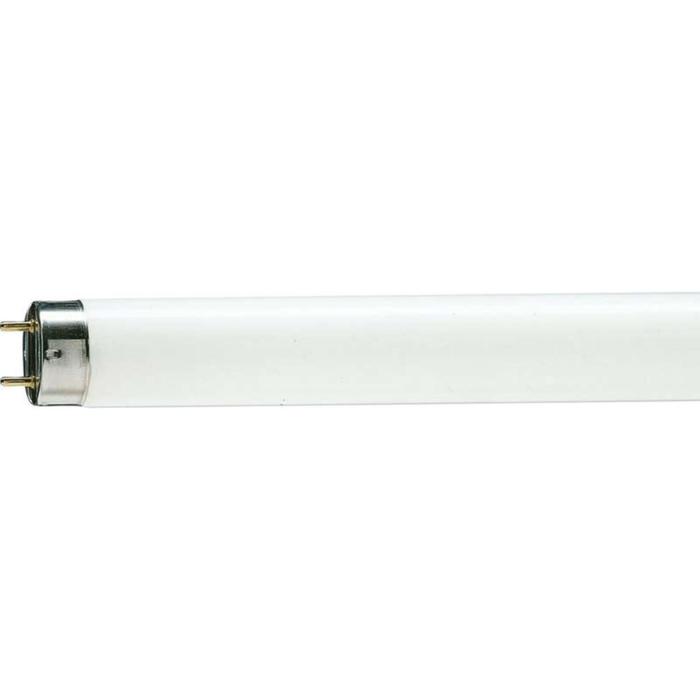 Лампа люминесцентная Philips TL-D 36W/33-640, G13, T8, 36 Вт, 4100 К, 2850 Лм
