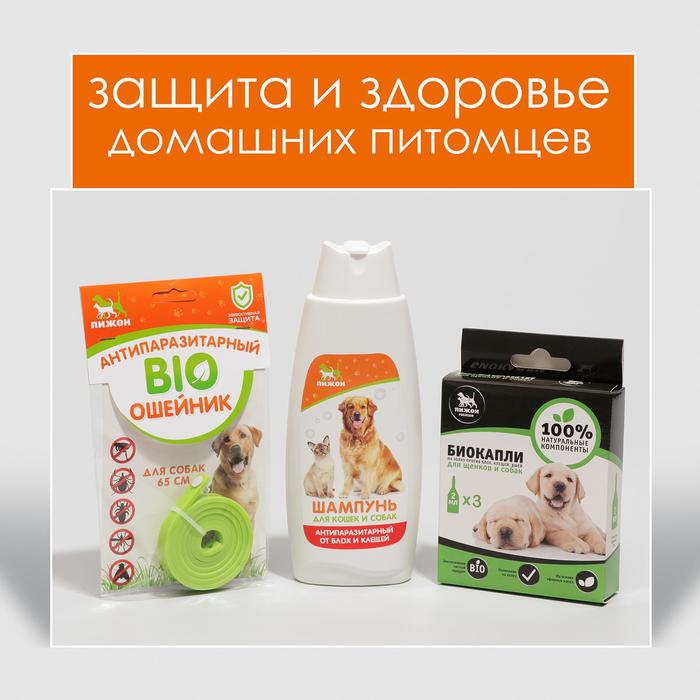 фото Набор для собак от блох: биоошейник 65 см; биокапли 3х2 мл; шампунь 250 мл пижон