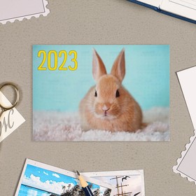 Карманный календарь "Символ года - 8" 2022 год, 7 х 10 см, МИКС от Сима-ленд