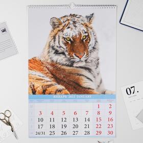 

Календарь перекидной на ригеле "Символ года - 4" 2022 год, 320х480 мм