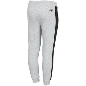 

Брюки для мальчика 4F BOY'S TROUSERS, рост 128 см (HJZ20-JSPMD006-25M)