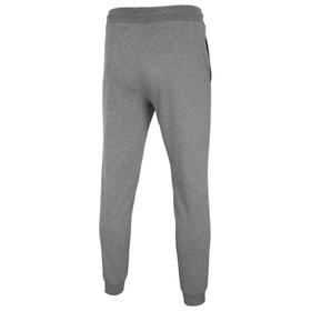 

Брюки мужские 4F Men's Knitted Trousers, размер XL EUR (NOSH4-SPMD001-24M)