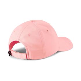 

Кепка мужская Puma Metal Cat Cap, размер Adult (2126939)