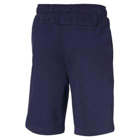 

Шорты для мальчика Puma Active Sports Sweat Shorts B, рост 111-116 см (85441306)