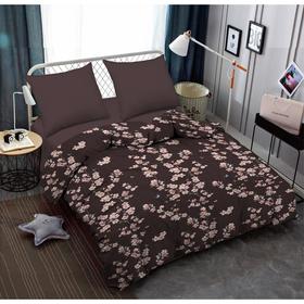 

КПБ Cumbia 2 сп., размер 215x240 см, 175x215 см, 70x70 - 2 шт