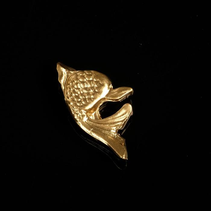 Сувенир кошельковый "Золотая рыбка ", олово, 2х1х0,3 см