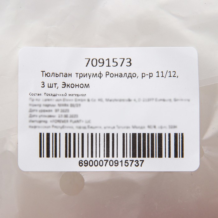 

Тюльпан триумф Роналдо, р-р 11/12, 3 шт, Эконом, Осень 2023