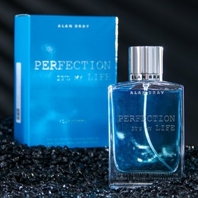 

Туалетная вода мужская Alan Bray PERFECTION, 100 мл