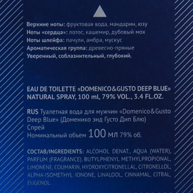 Туалетная вода мужская Domenico Gusto Deep Blue, 100 мл