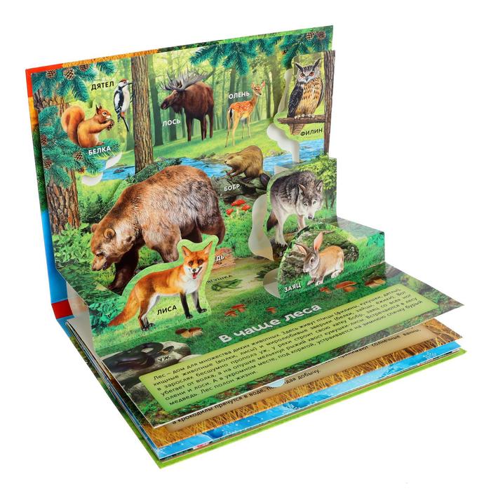 

Книга-панорамка 3D «Мир животных» 12 стр.