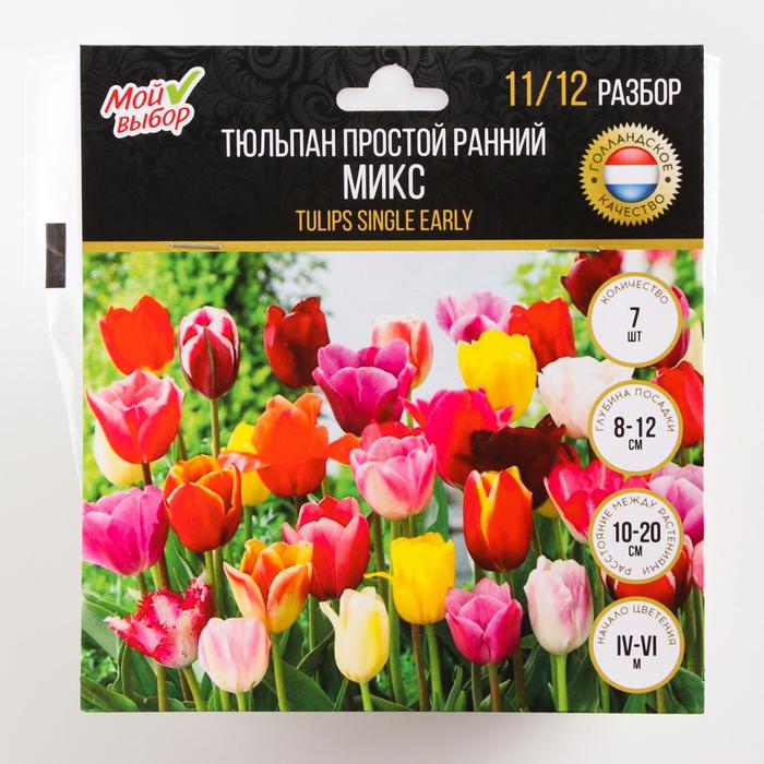 

Тюльпан простой ранний МИКС, р-р 11/12, 7 шт