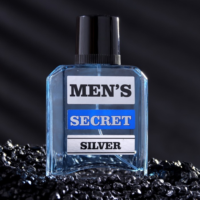 

Одеколон мужской MEN'S SECRET SILVER, 95 мл