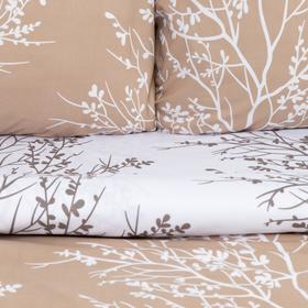 

Постельное белье Этель 1,5 сп «Осеннее утро» 150*215см, 150*225см, 50*70± 3см-2 шт