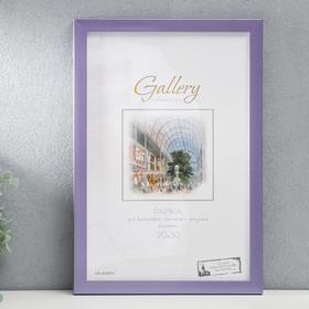 

Фоторамка пластик Gallery 20х30 см, 641499-8, МИКС
