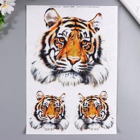 

Декупажная карта "Тигр" плотность 45г/м2 формат А4