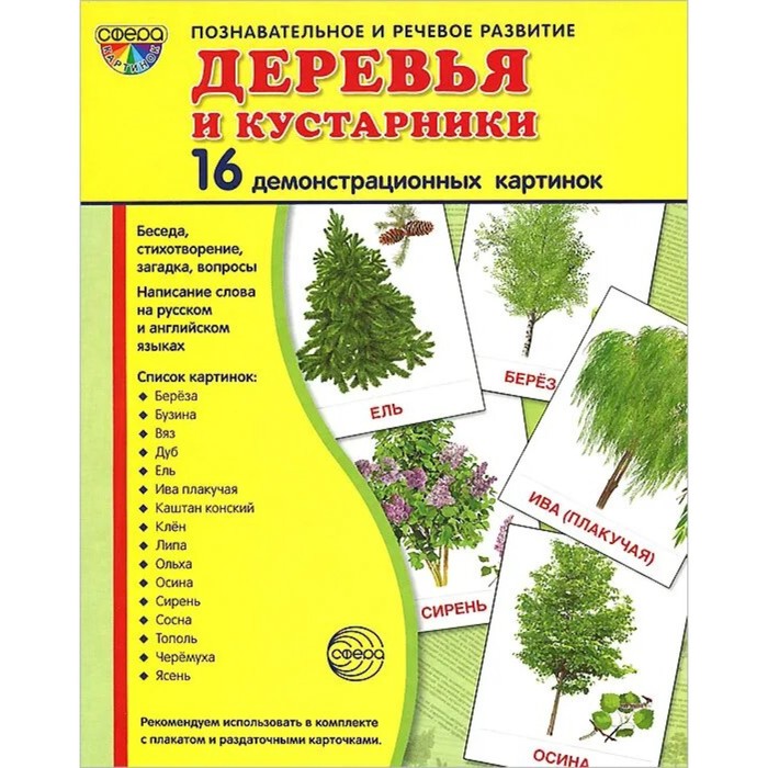 фото Набор карточек. деревья и кустарники.16 демонстрационных картинок/174х220 сфера