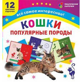 

Кошки. Популярные породы. 12 обучающих карточек