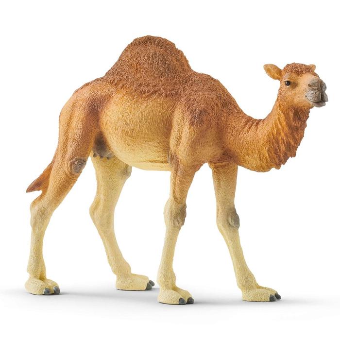 Фигурка «Одногорбый верблюд» фигурка огонёк верблюд резиновый 18 см