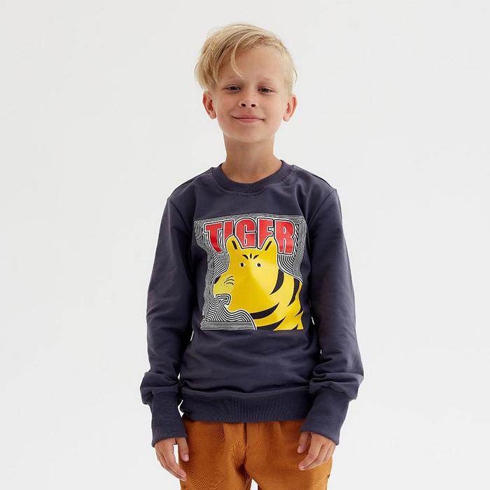 Свитшот для мальчика MINAKU: Casual Collection KIDS цвет графит, рост 146