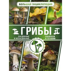 

Большая энциклопедия. Грибы. Съедобные и несъедобные. Собираем и готовим. Поленов А.Б.